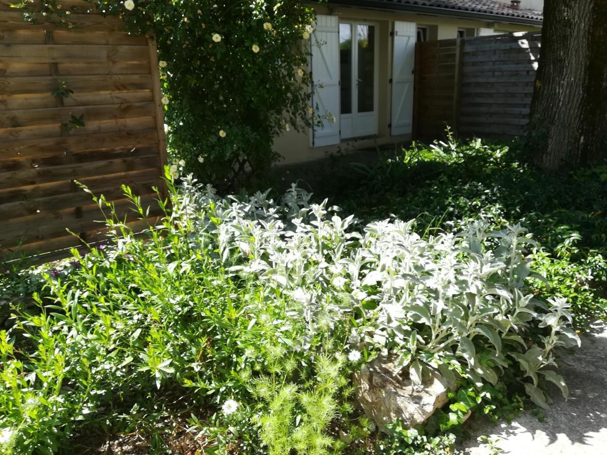 Apartament Chez Karine Et Julien Cahors Zewnętrze zdjęcie